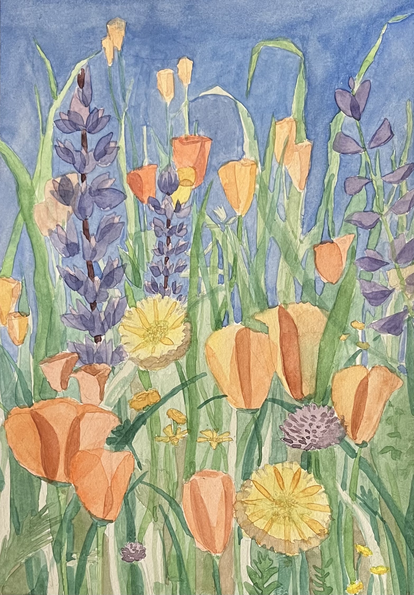 Wildflowers
